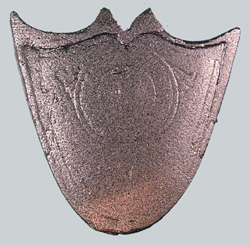 Toe Plate